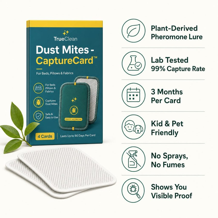 CaptureCards dust mite trap product visual 2