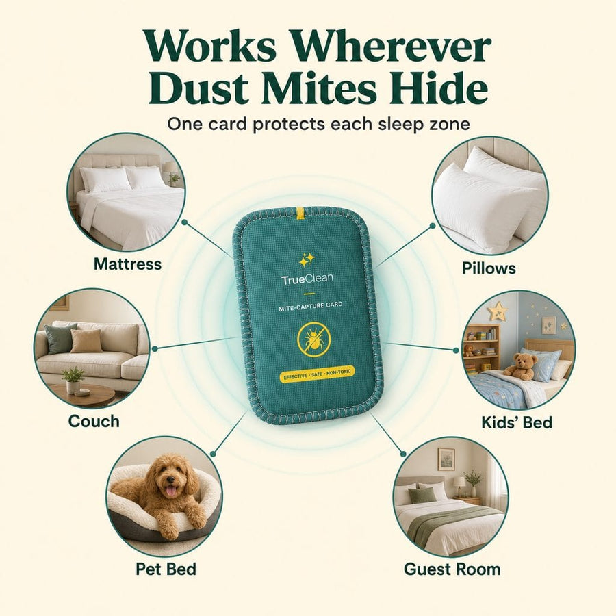 CaptureCards dust mite trap product visual 5