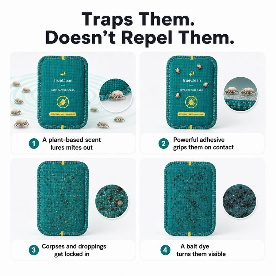 CaptureCards dust mite trap product visual 4