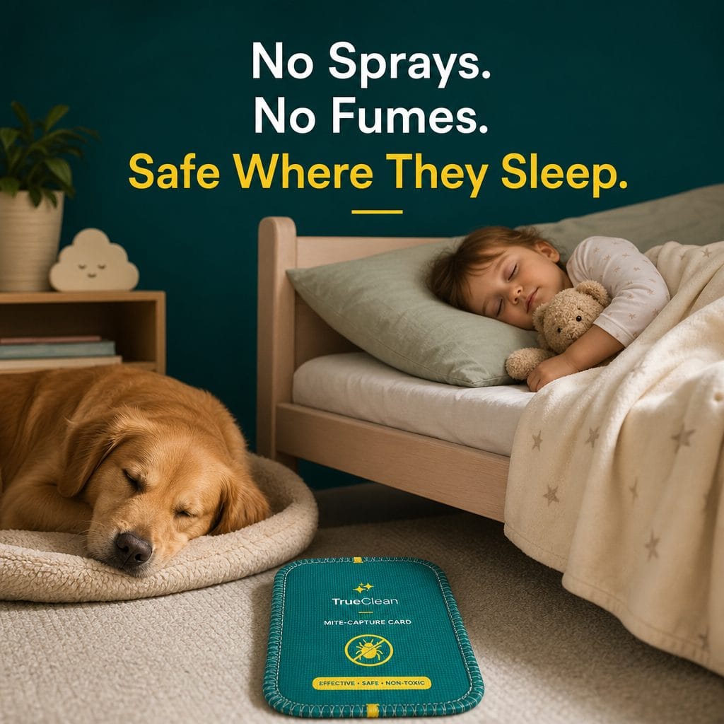 CaptureCards are safe around kids and pets