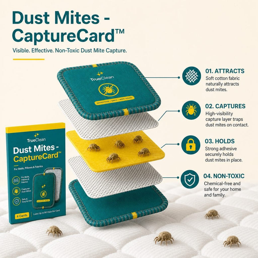 CaptureCards dust mite trap product visual 1