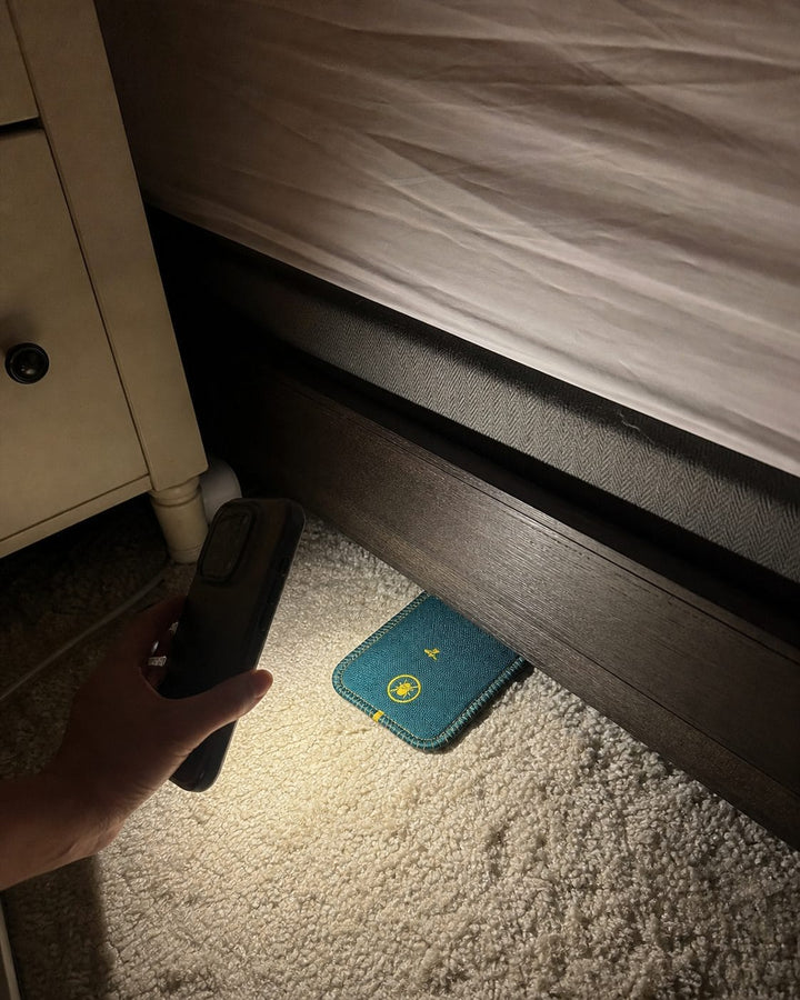 Phone-light proof check on CaptureCard