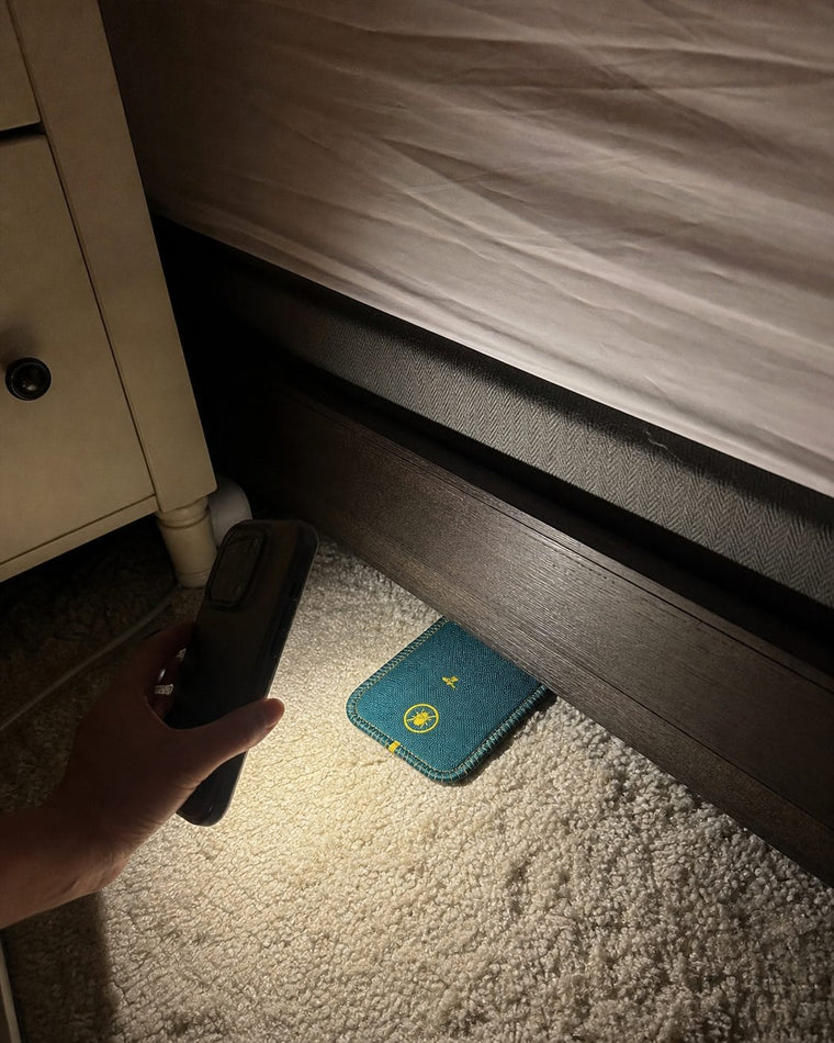 Phone-light proof check