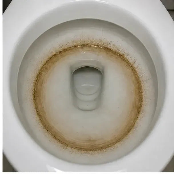 BEFORE photo — heavy brown ring at the waterline of a residential toilet bowl, clearly visible against white porcelain.