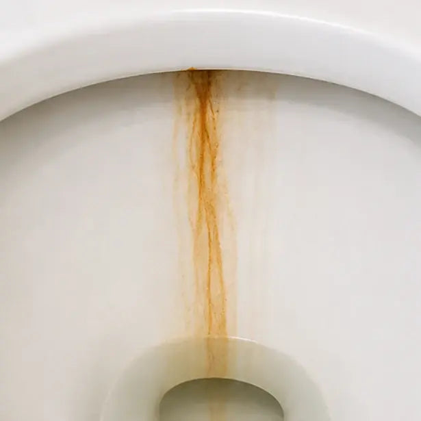 BEFORE photo — vertical orange-rust streak running down inside of bowl from the rim, typical of well water with iron.