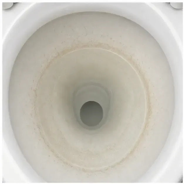 BEFORE photo — wide shot of toilet bowl with cloudy, dull, hazy interior — that "never quite clean" look.